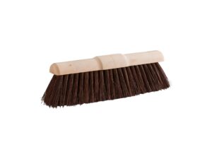 Städtischer Ginster Bahia