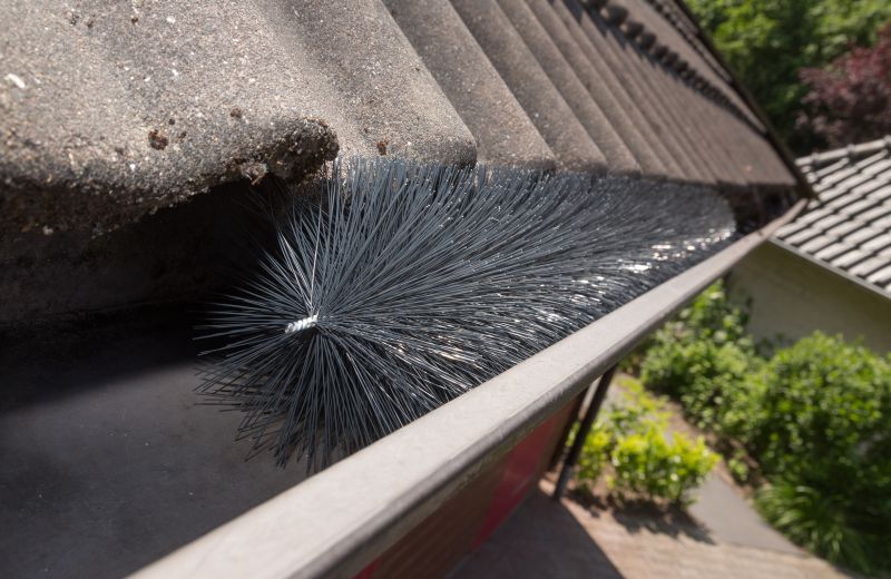 Foto - Dachrinnenbürsten