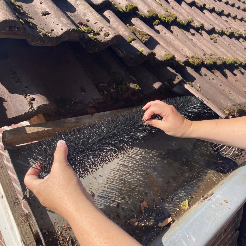 Foto - Gebäude naturfrei machen: Schutz bei Renovierung und Dämmung